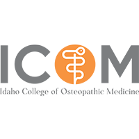 ICOM Logo